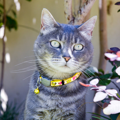 Rogz Reflecto Cat Safety Release Collar