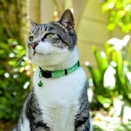 Rogz Kiddy Cat Safety Release Collar