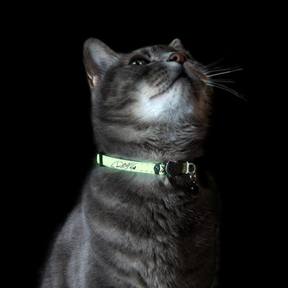 Rogz Glow Cat Safety Release Collar