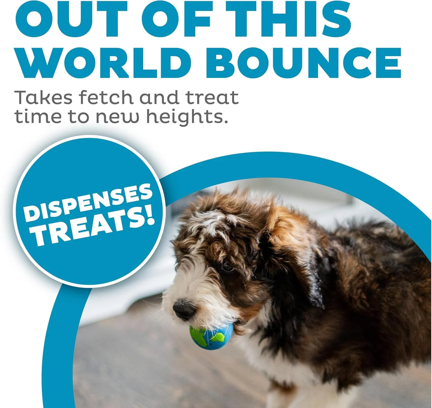 Petstages Planet Dog Orbee Ball