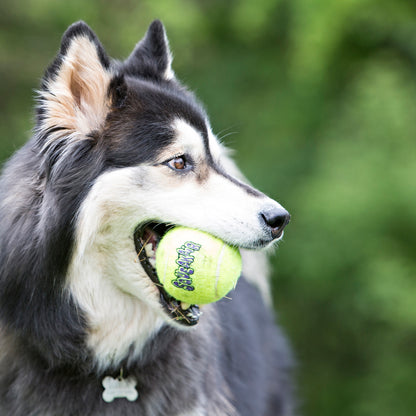 Kong Airdog Squeakair Tennis Ball