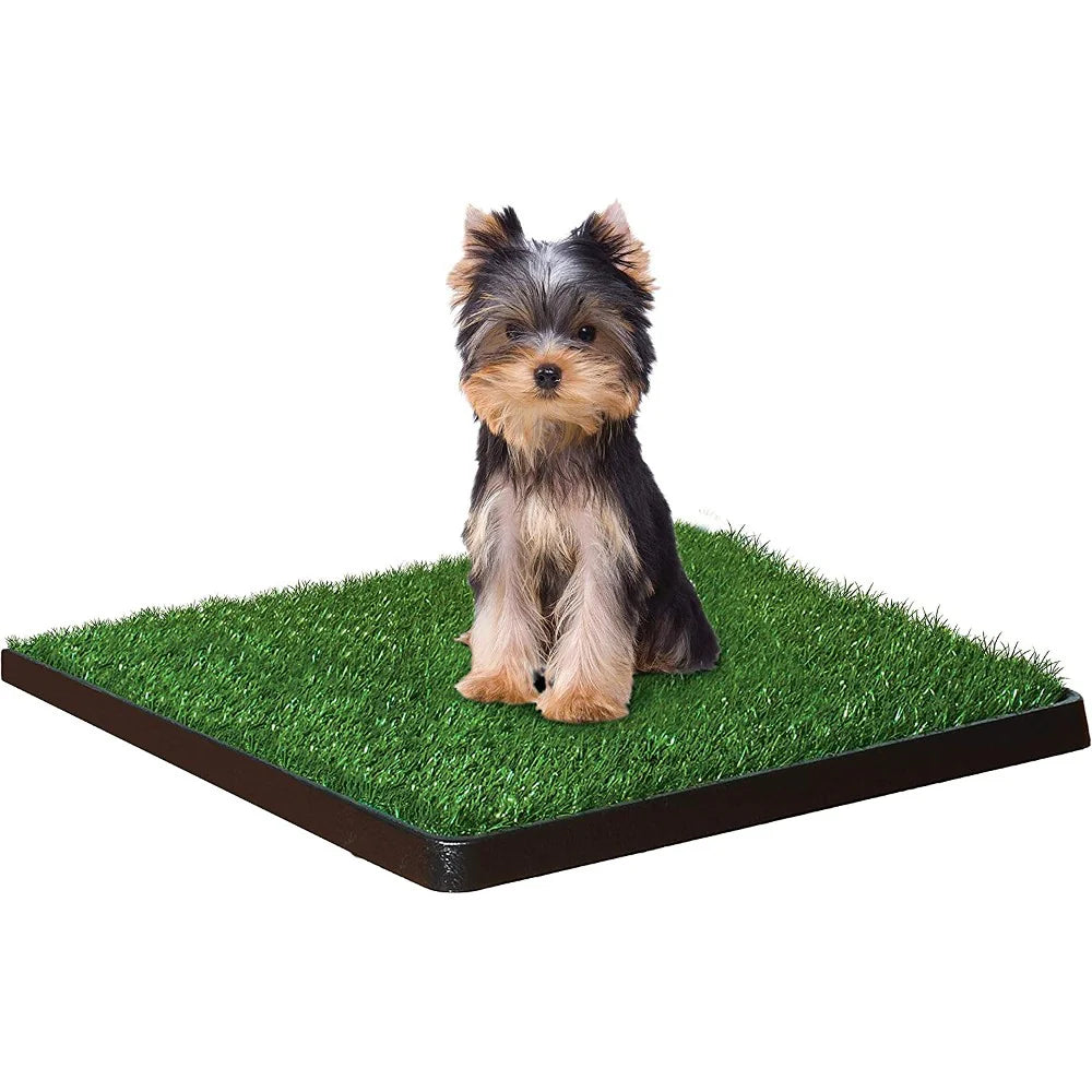 Wee-Wee Patch Indoor Pet Potty