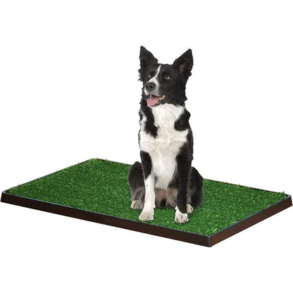 Wee-Wee Patch Indoor Pet Potty