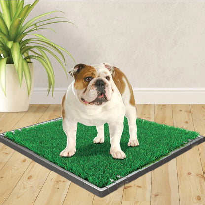 Wee-Wee Patch Indoor Pet Potty Replacement Grass