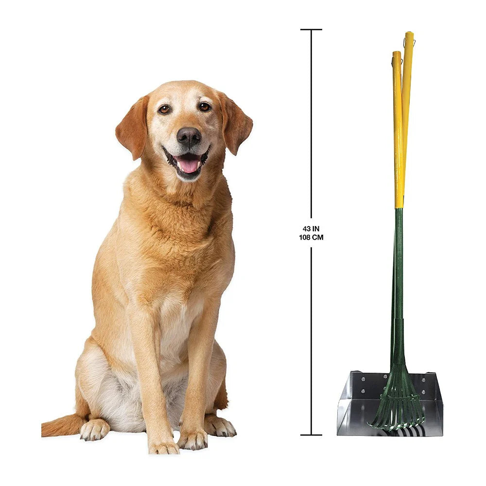 Wee-Wee Doggie Doo Rake & Pan Set