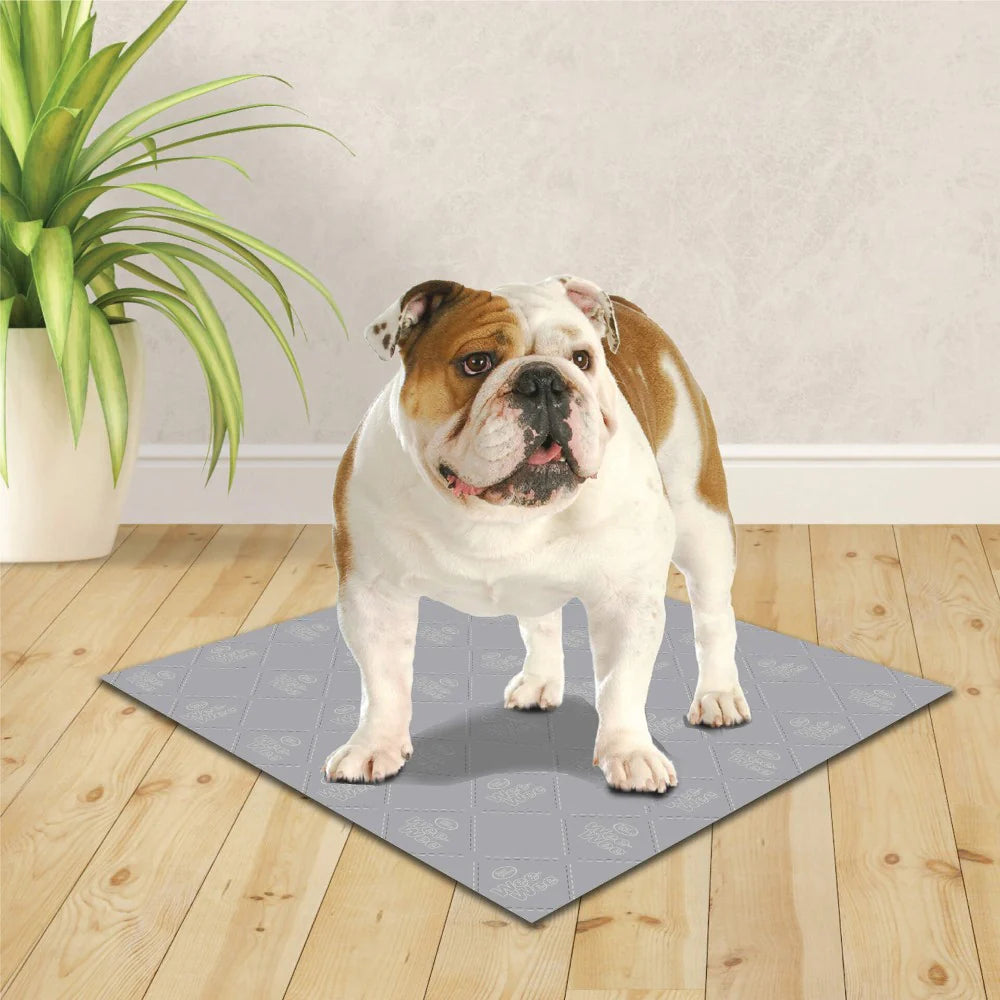 Wee-Wee Premium Patch Washable Dog Pee Pads