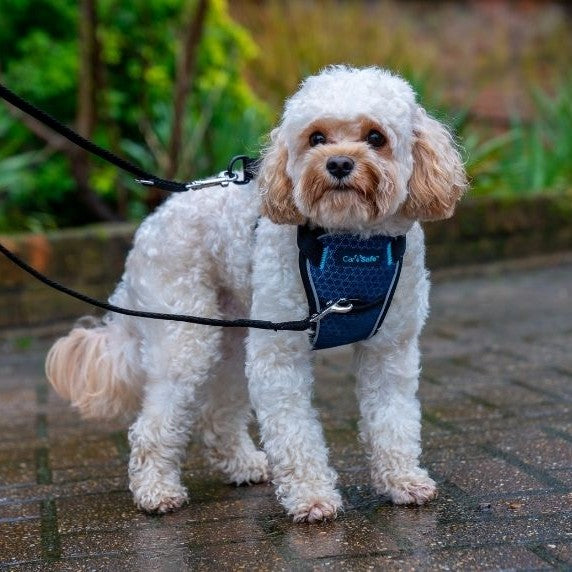 Company of Animals CarSafe Crash-Tested Harness