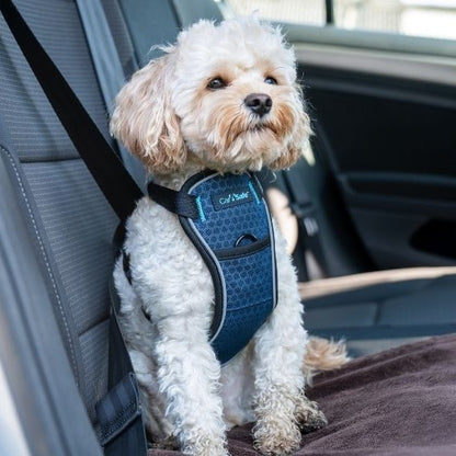 Company of Animals CarSafe Crash-Tested Harness