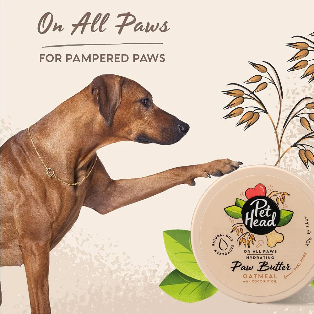 Pet Head On All Paws Paw Butter