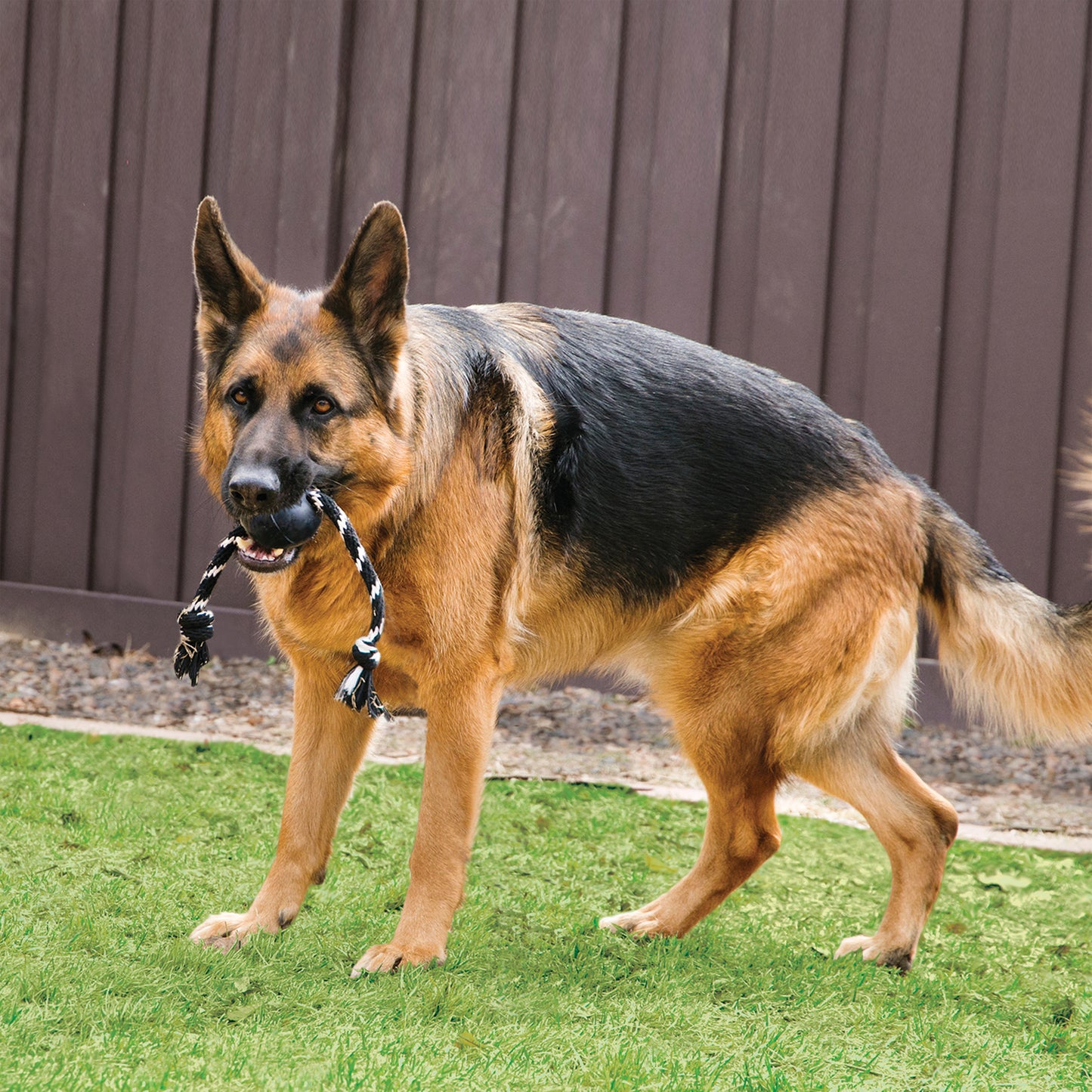 Kong Extreme Ball with Rope