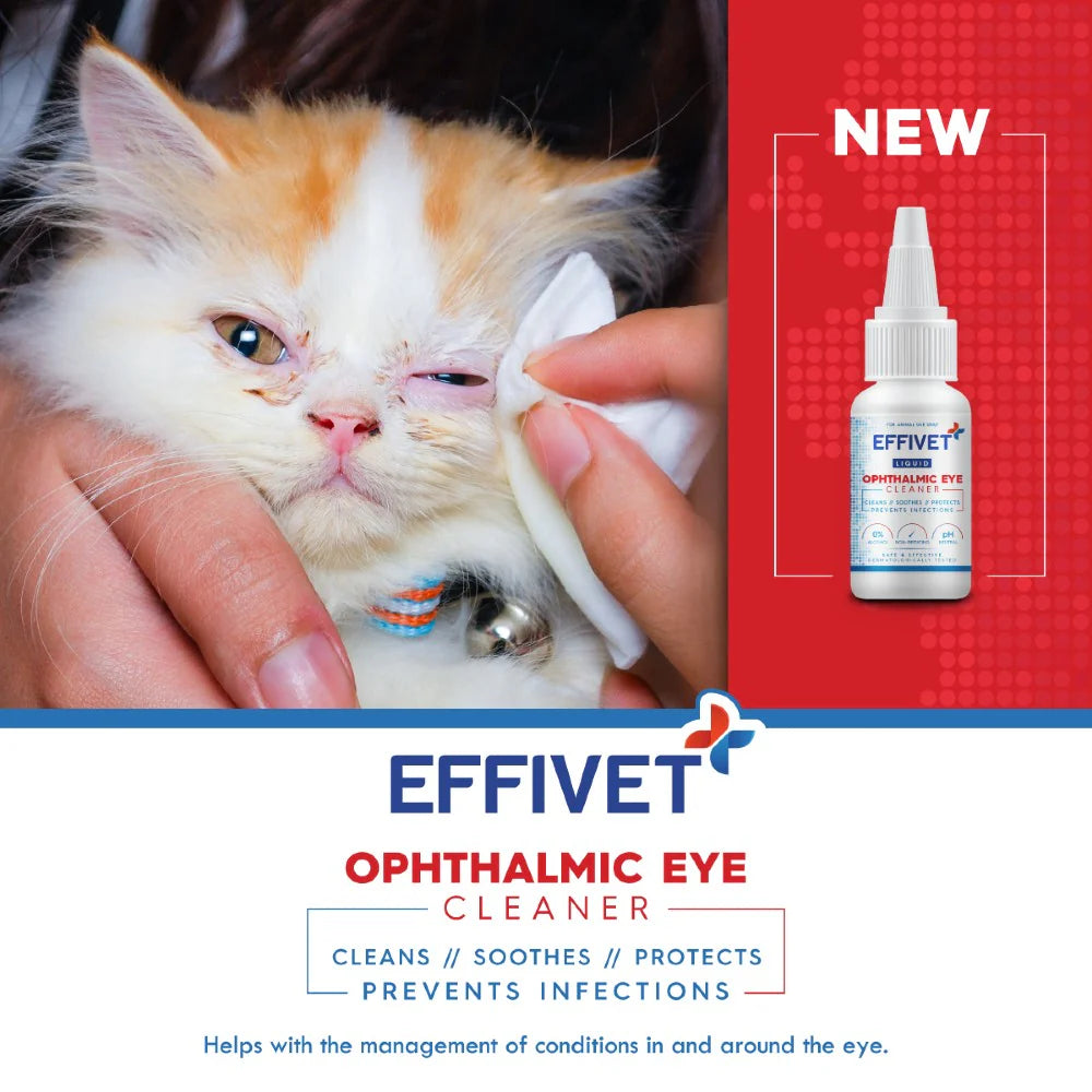 Effivet Ophthalmic Eye Cleaner 60ml