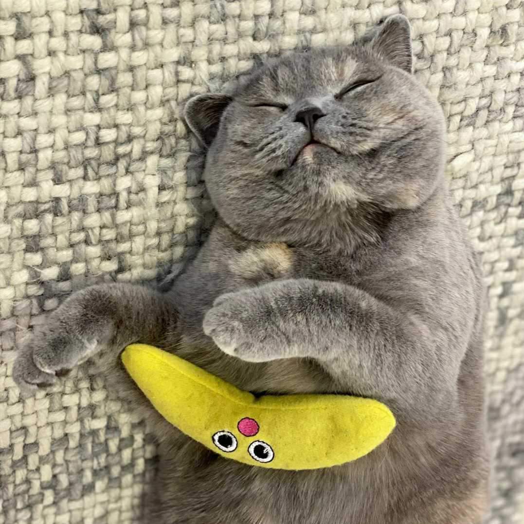 Petstages Dental Banana