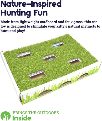 Petstages Grass Patch Hunting Box