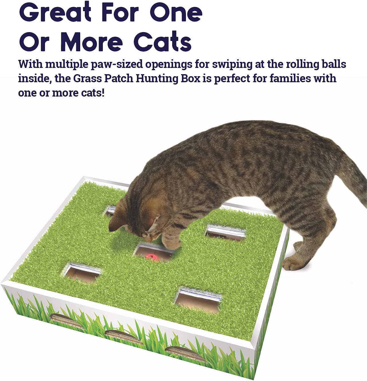 Petstages Grass Patch Hunting Box