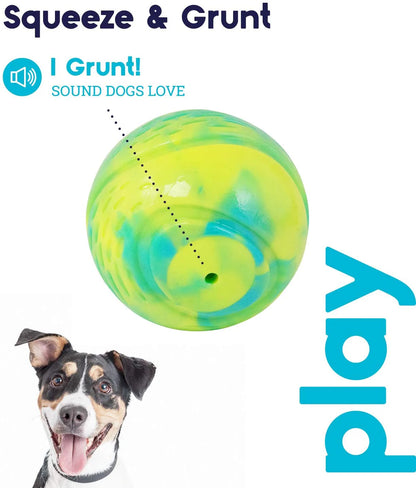 Petstages Grunt 'n Punt Tennis Ball