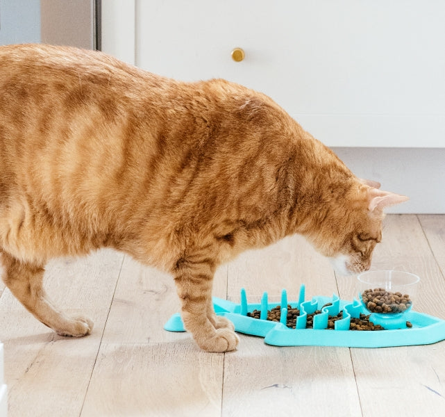 Petstages Cat Hunt 'n Snack Mat