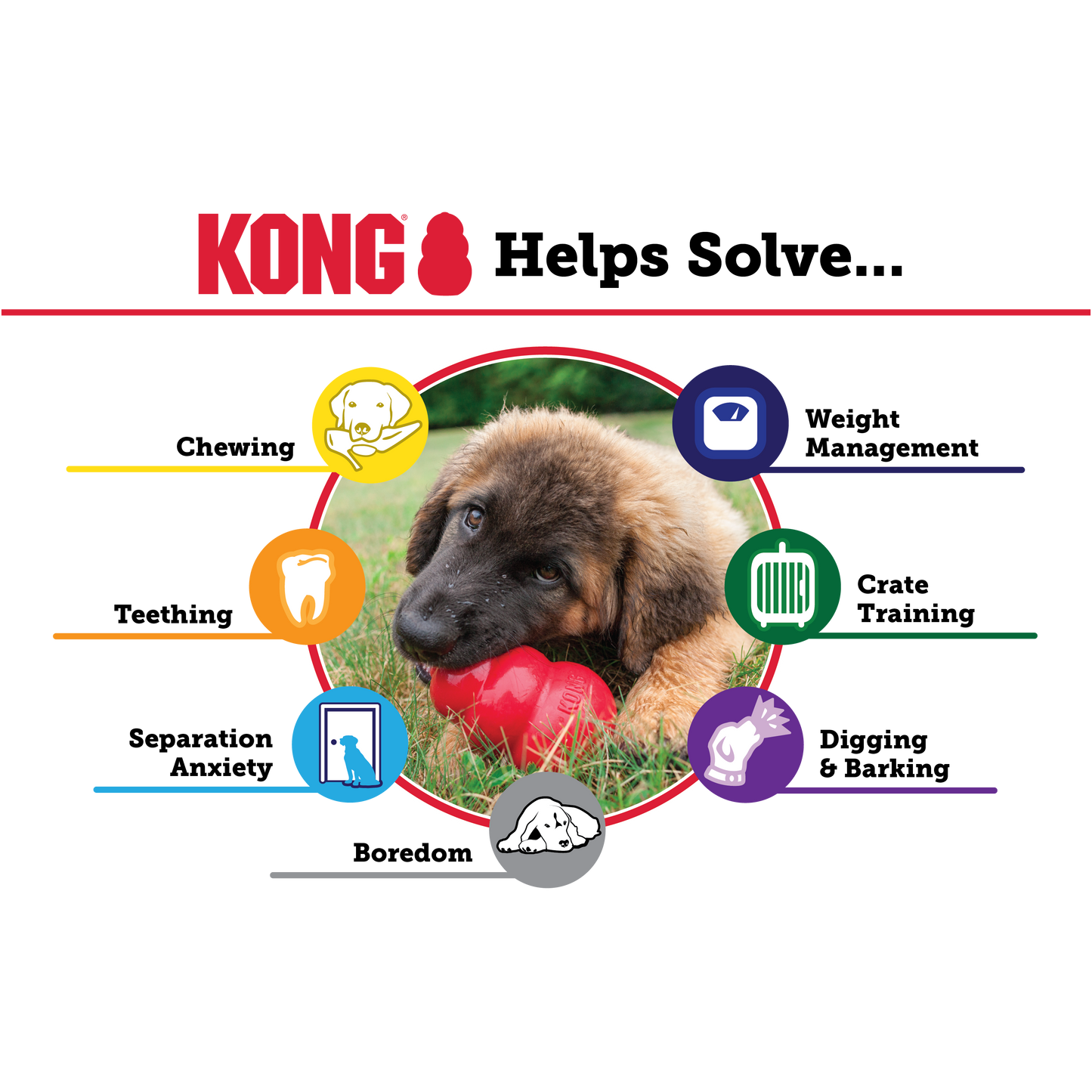 Kong Puppy