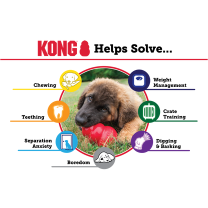 Kong Puppy