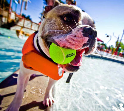 Outward Hound Ripstop Orange Life Jackets