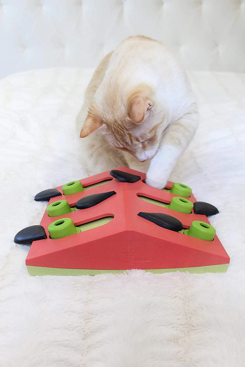 Nina Ottosson Cat Puzzle 'n Play Melon Madness