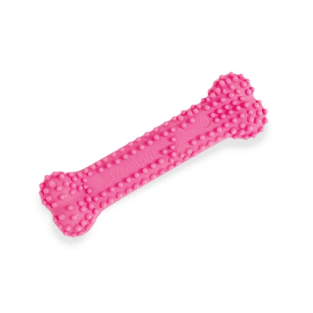 Nylabone Puppy Dental Bone