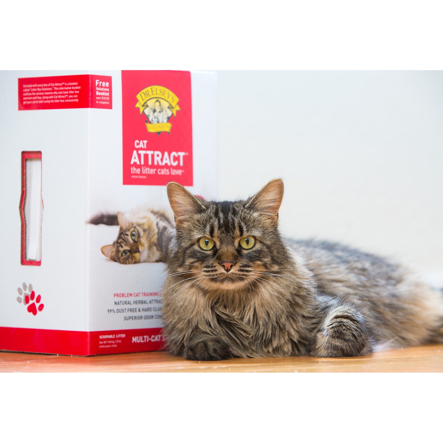 Dr Elsey's Cat Attract Training Litter