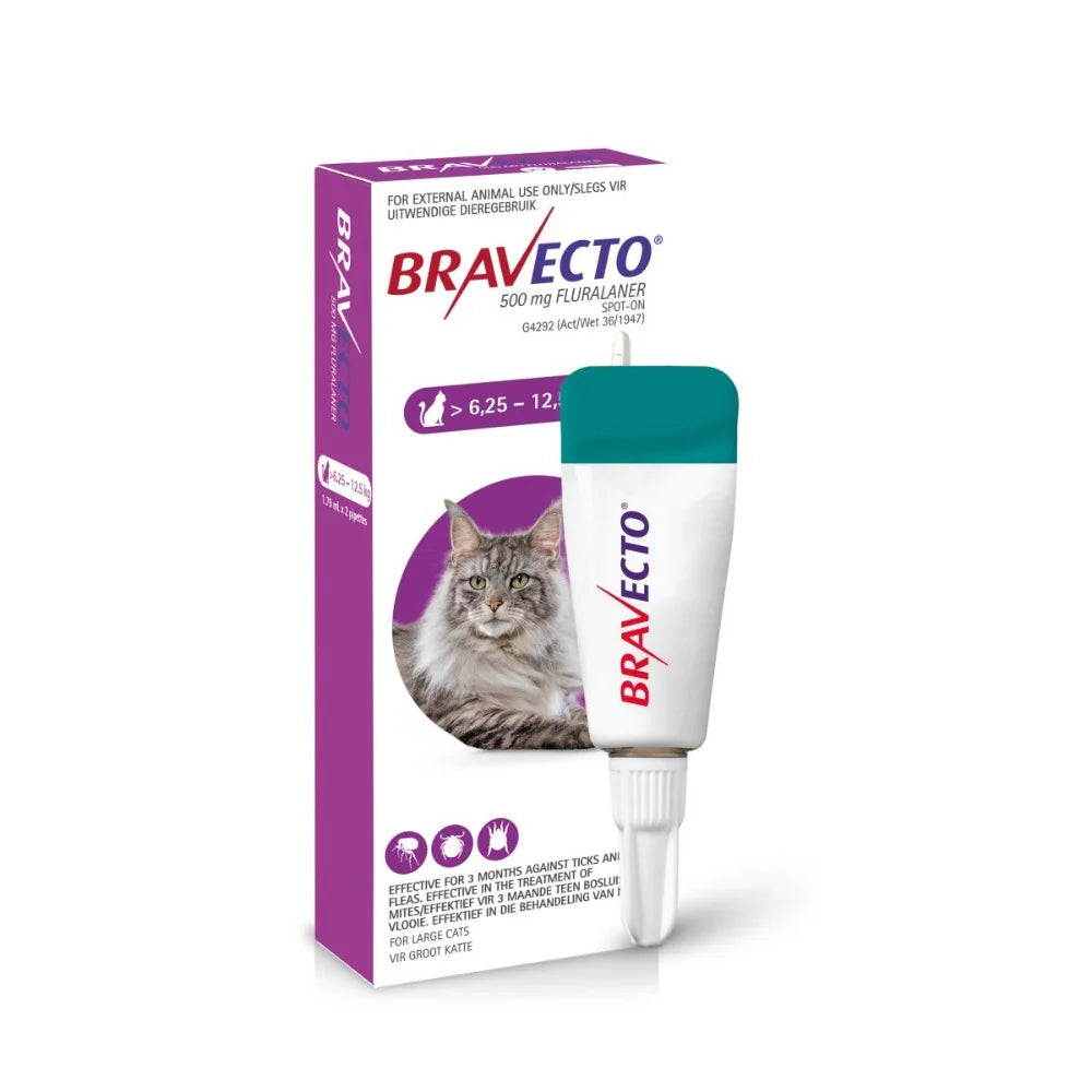 Bravecto Spot-on Cat