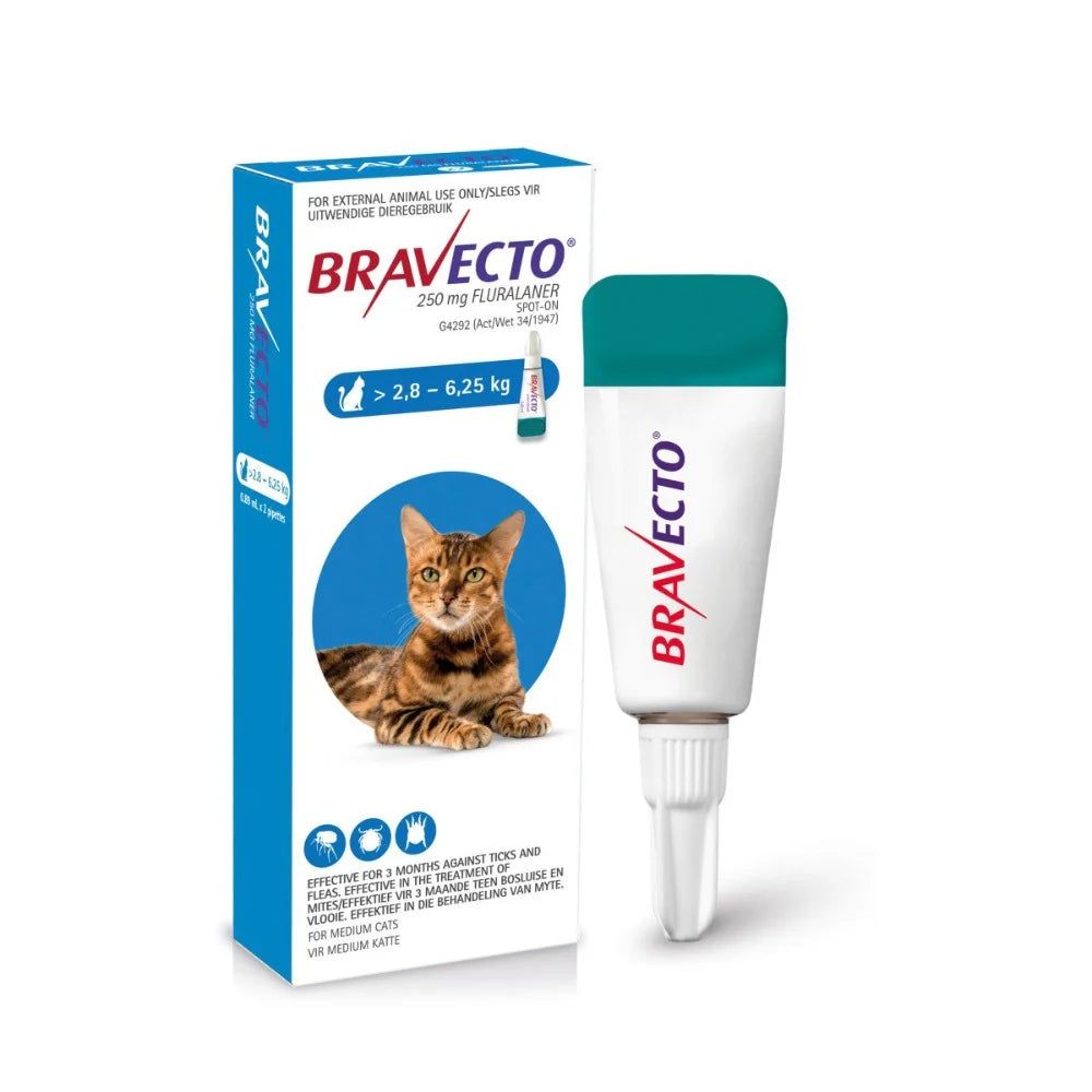 Bravecto Spot-on Cat