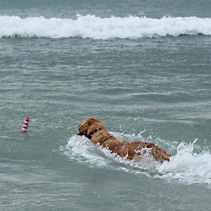 Rogz Lighthouse Fetch Toy