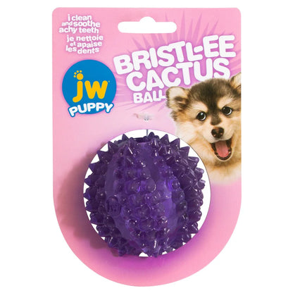 JW Pet Puppy Bristl-ee Cactus Ball