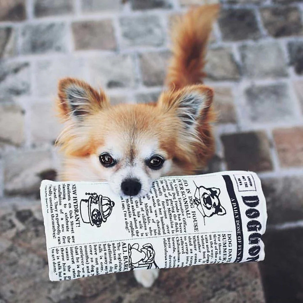 Pet Qwerks Krinkle Newspaper Dog Toy