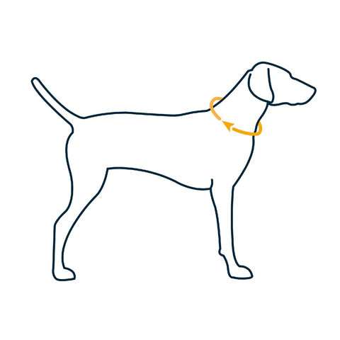 Ruffwear Knot-a-Collar