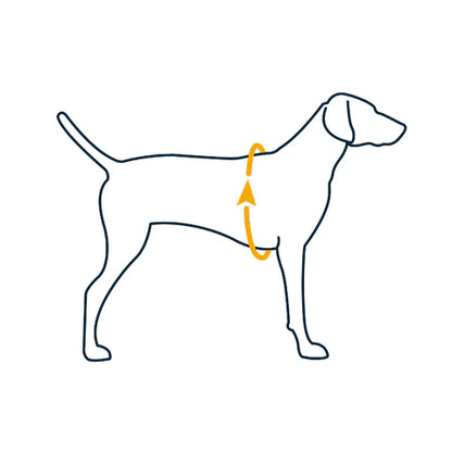 Ruffwear Hi & Light Ultra Lightweight Harness