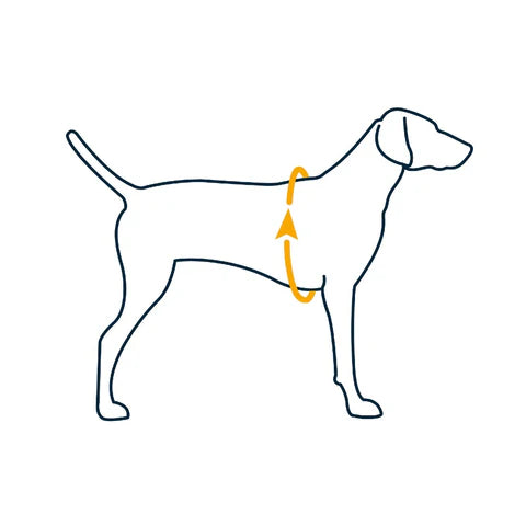 Ruffwear Webmaster Multi-Use Harness