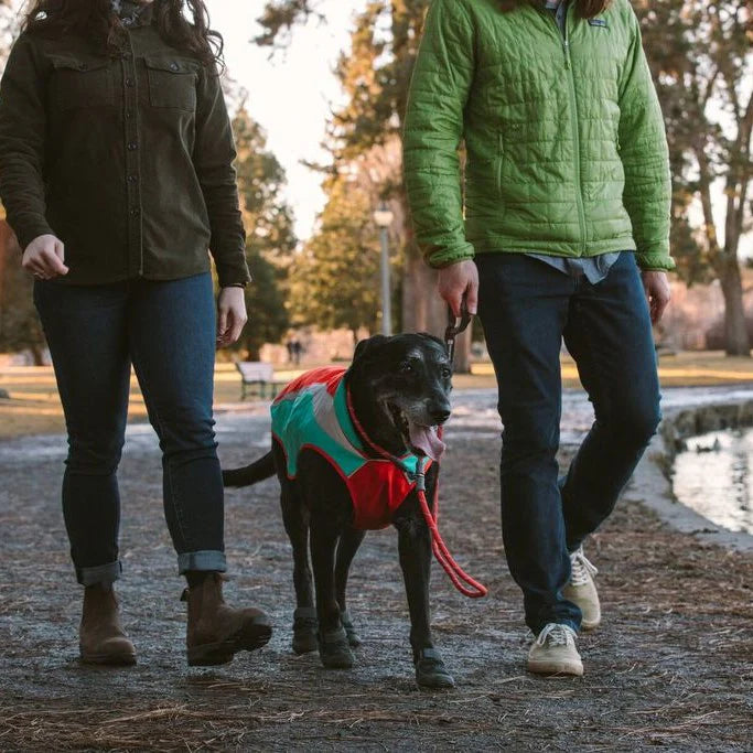 Ruffwear Just-a-Cinch Leash