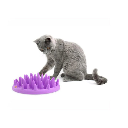 Company of Animals Catch Interactive Cat Feeder