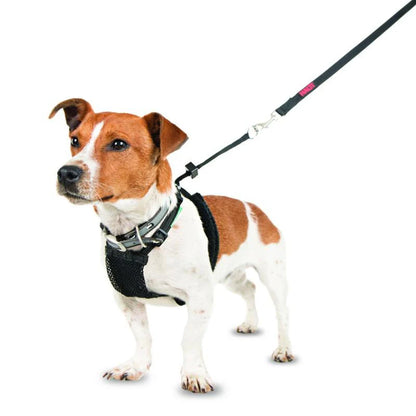 Company of Animals Halti No Pull Harness