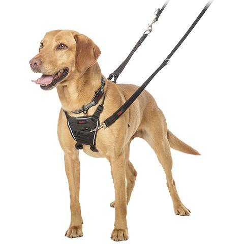 Company of Animals Halti No Pull Harness