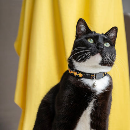 Rogz Fashion Cat Safety Collar