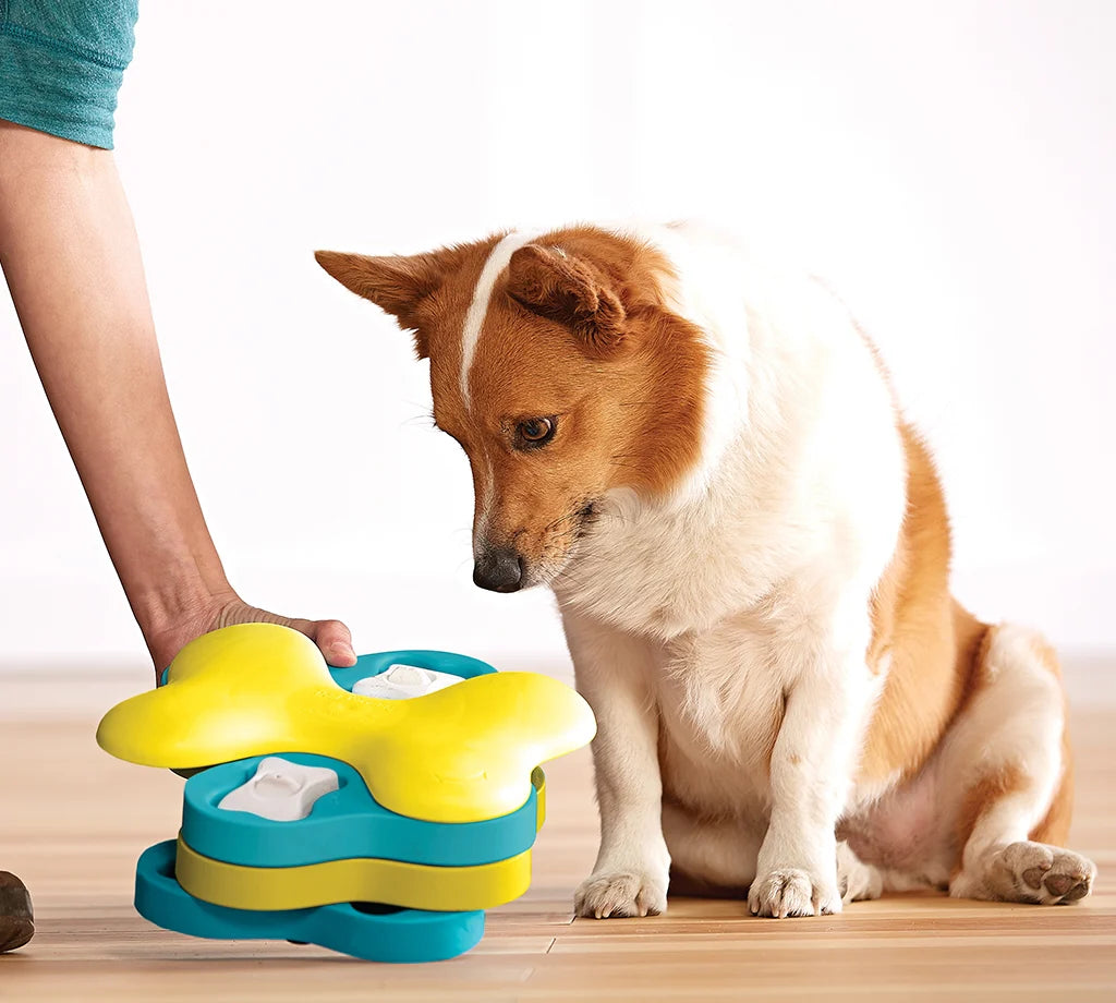 Nina Ottosson Dog Tornado