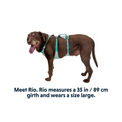 Ruffwear Flagline Lightweight Harness