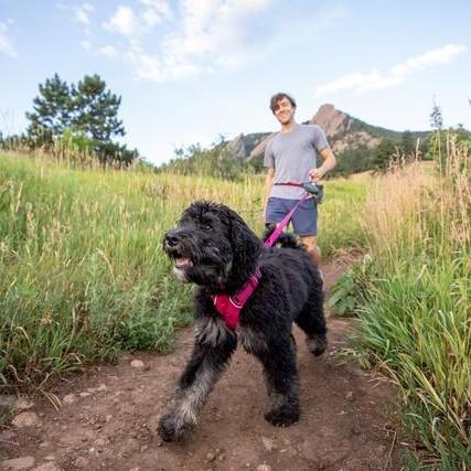 Ruffwear Front Range Harness