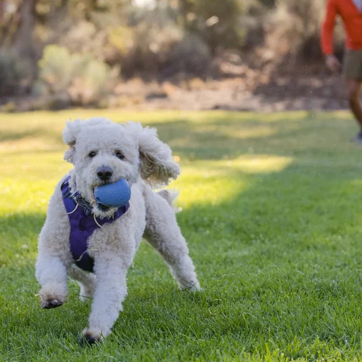 Ruffwear Huckama Rubber Throw Toy