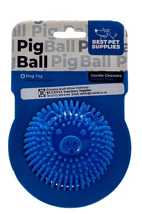 Best Pet Ball