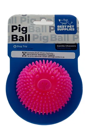 Best Pet Ball