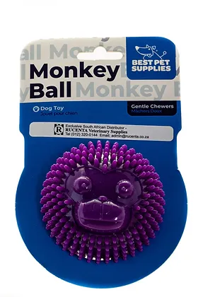 Best Pet Ball