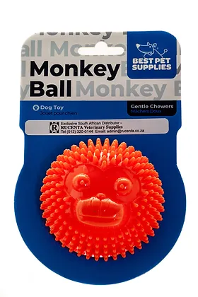 Best Pet Ball