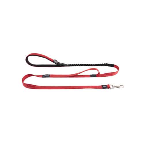 Rogz Utility Bungee Lead