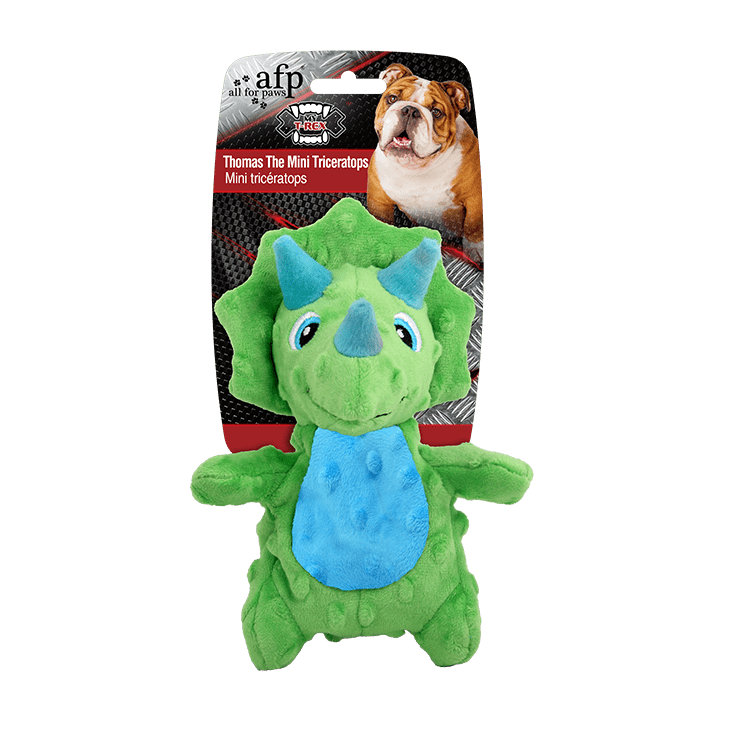 All For Paws Thomas The Mini Triceratops