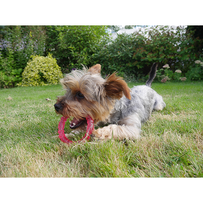 Rosewood BioSafe Pink Puppy Ring